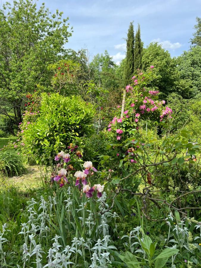 Les Vergers Apartment Bergerac Luaran gambar