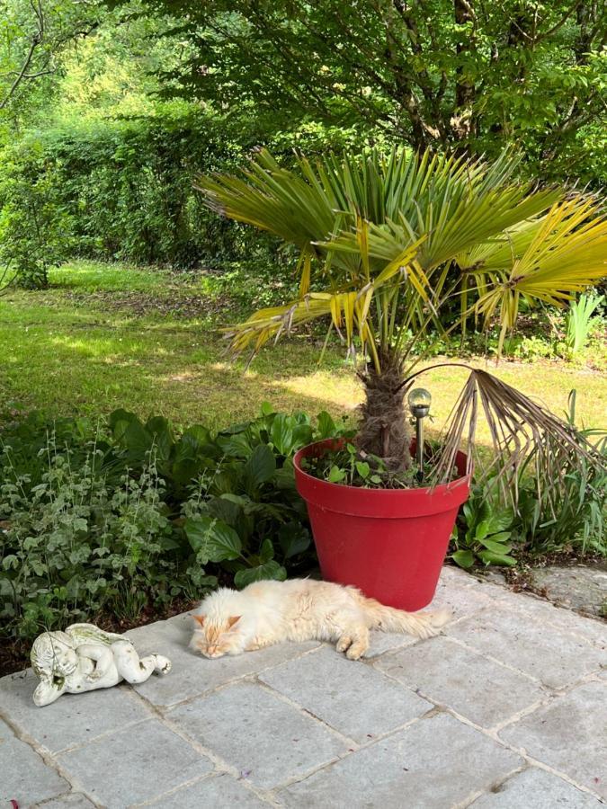 Les Vergers Apartment Bergerac Luaran gambar